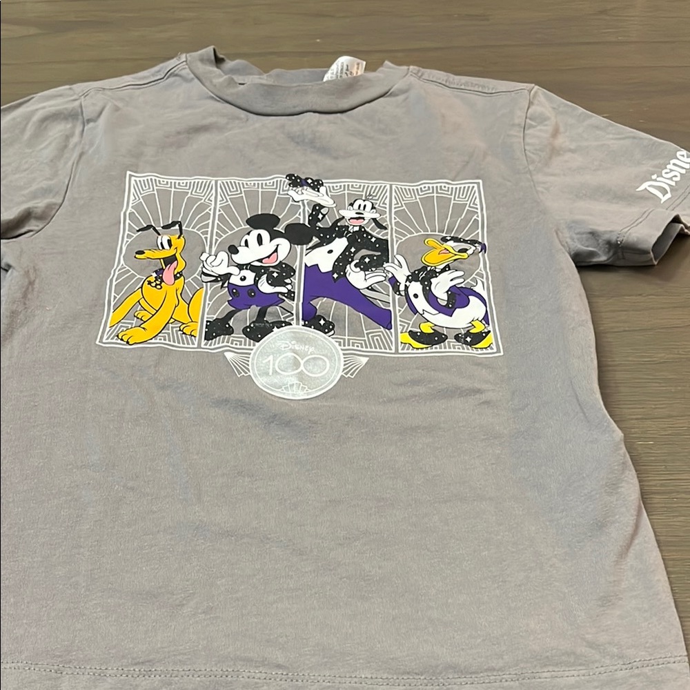 Disneyland 100 Gray Short Sleeve Tee with Classic Characters